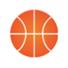 贵州猛龙
